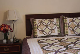 Fredericksburg Texas Hotels motel king bed